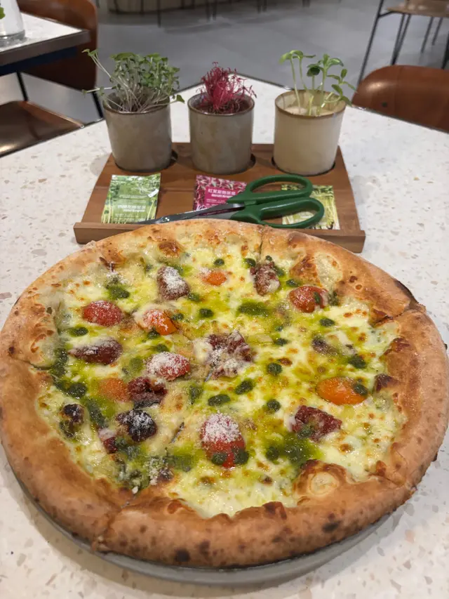 SEEDnaure 伊甸綠園薄餅